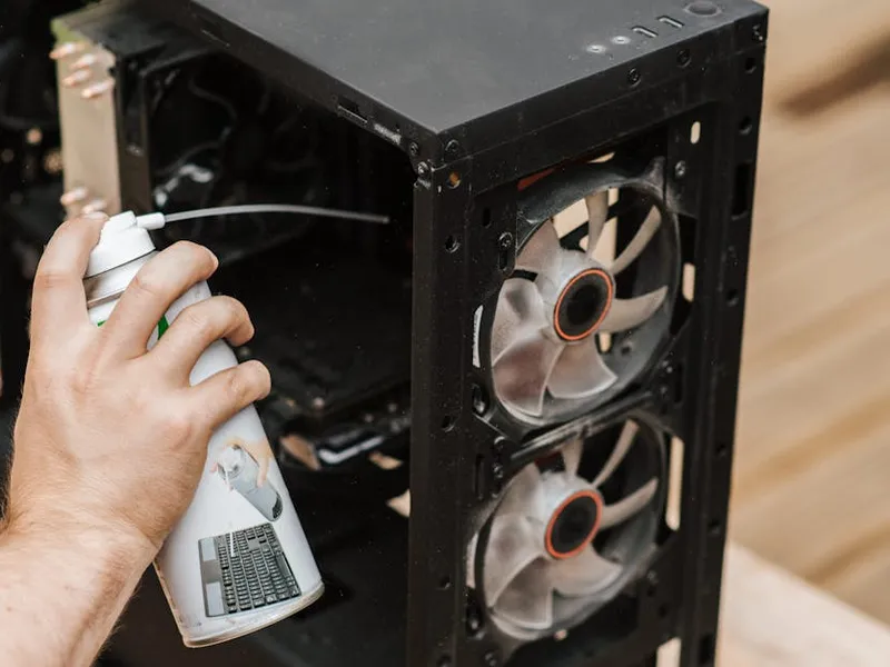 service mold service mold moldremediationremovalprote